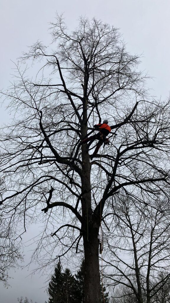 WhatsApp Image 2026-02-25 at 21.33.22