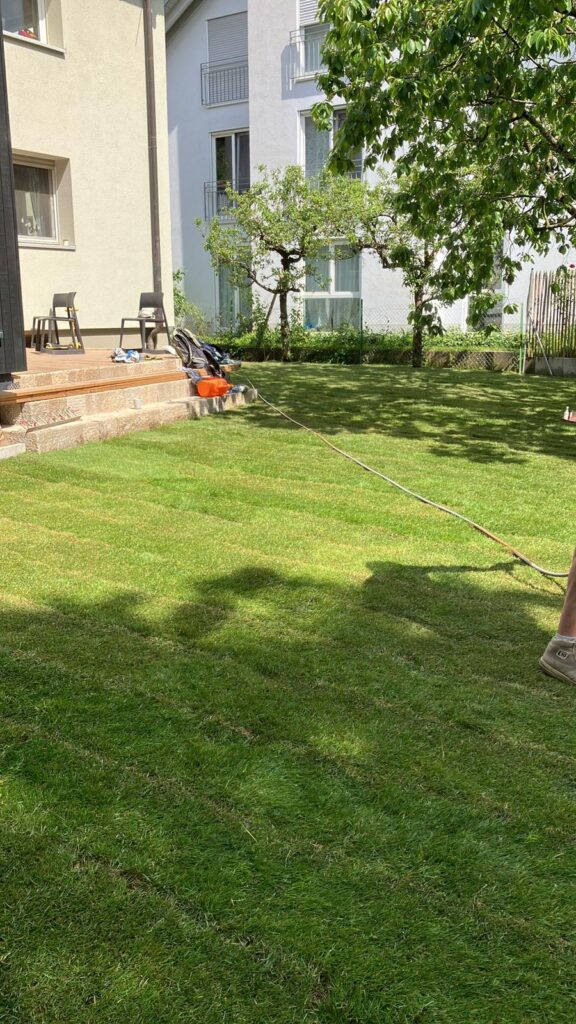 Rasenpflege 1